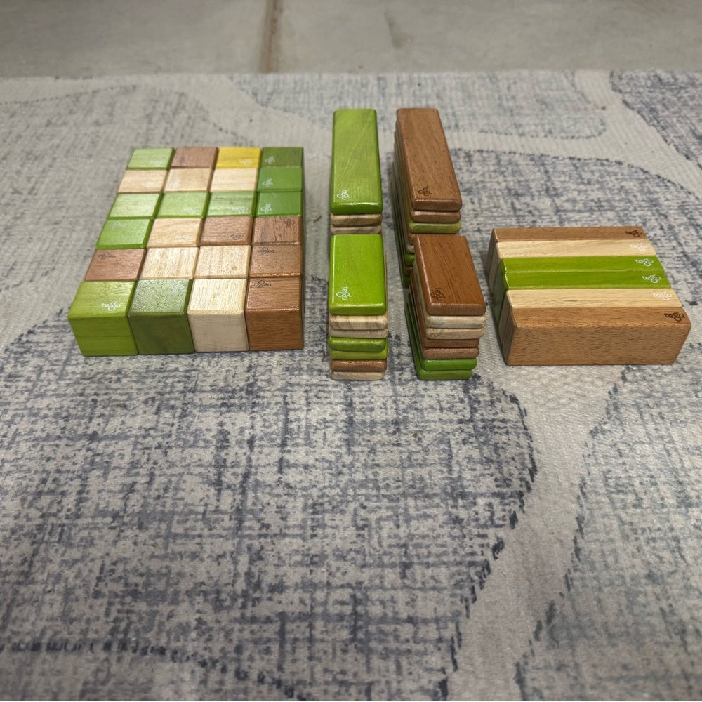 Tegu Magnetic Wooden Block Set